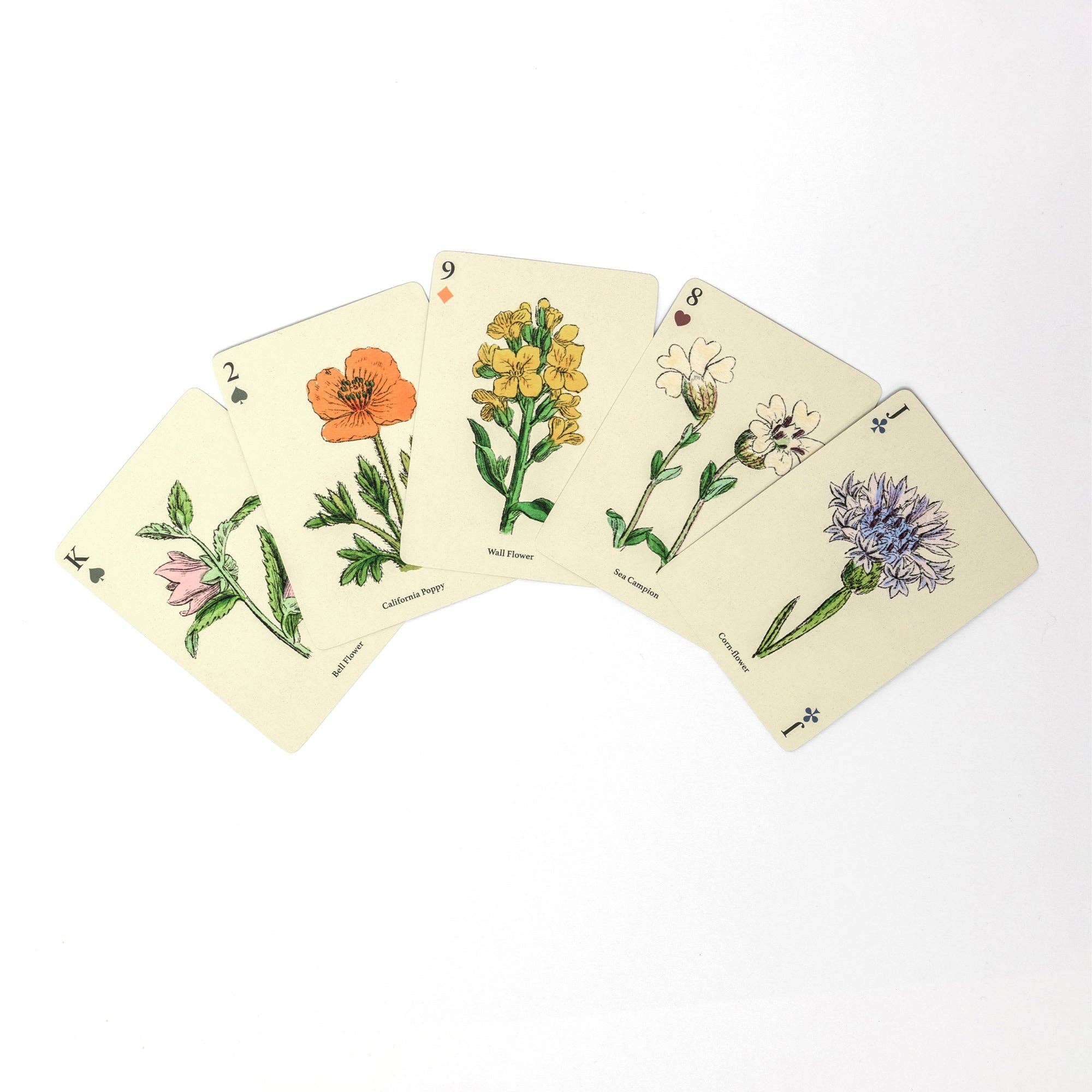 Roomytown – wholesale Playing cards – Wildflowers Single Playing Card Deck1