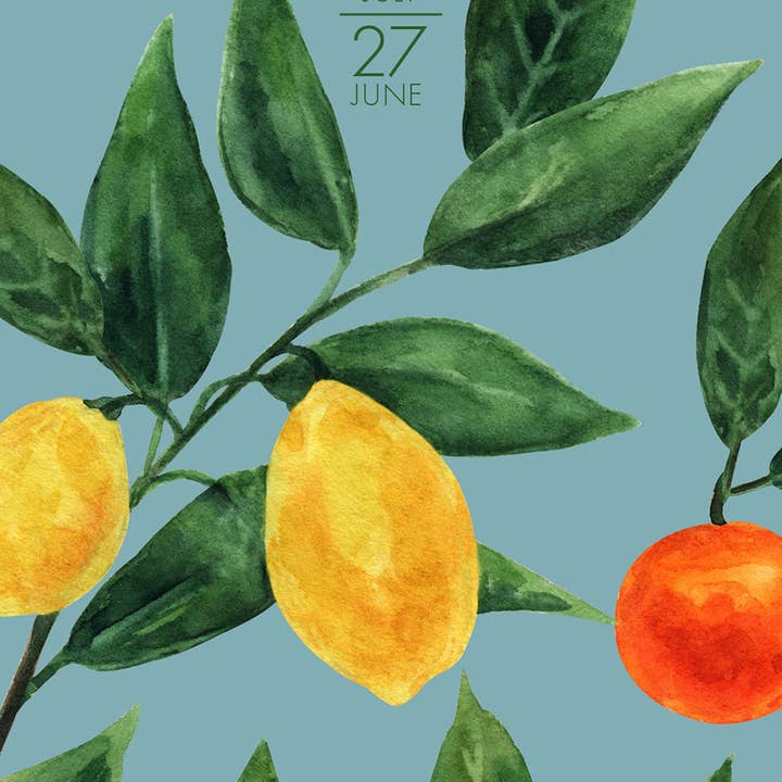 Colorful Citrus Academic July 2025 - June 2027 2-Year Pocket Planner for wholesale by Willow Creek Press & Gifts