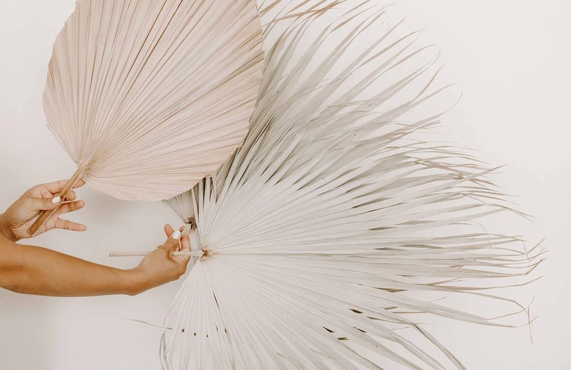 The Blooming Palm - Wholesale Retailermonster - Set van 3 natuurlijke palmwaaierbladeren met veervormige uitstraling + 1 gratis palmwaaier van 51 cm1