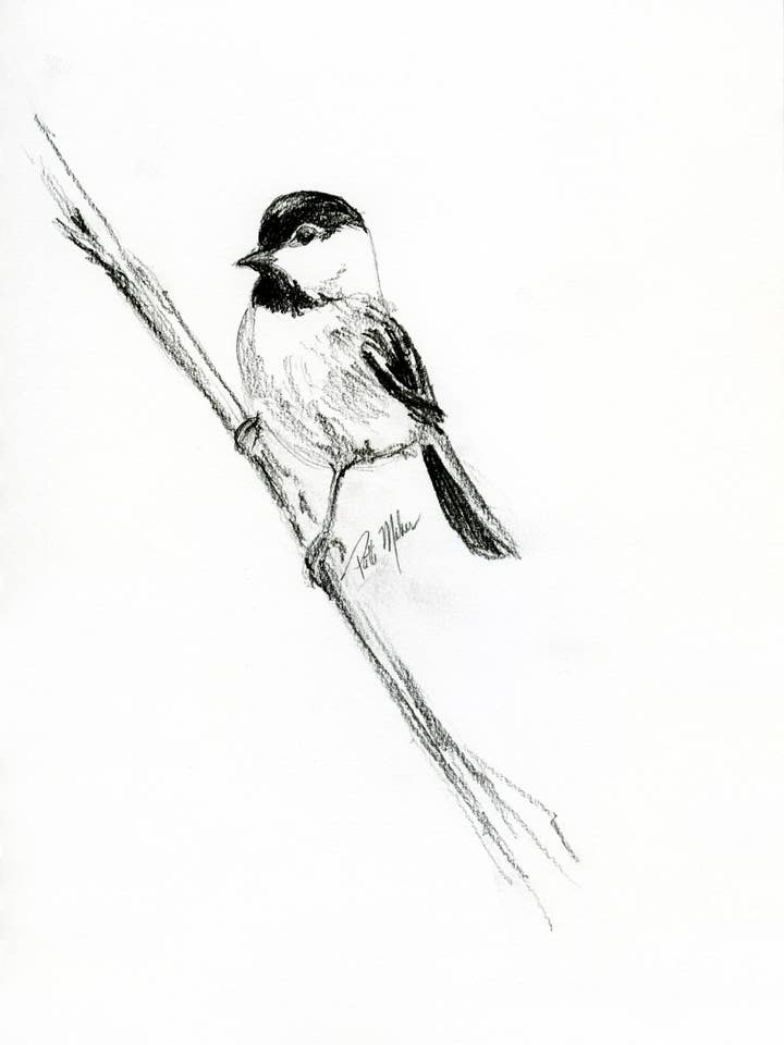 Chickadee por atacado de Fine Lines