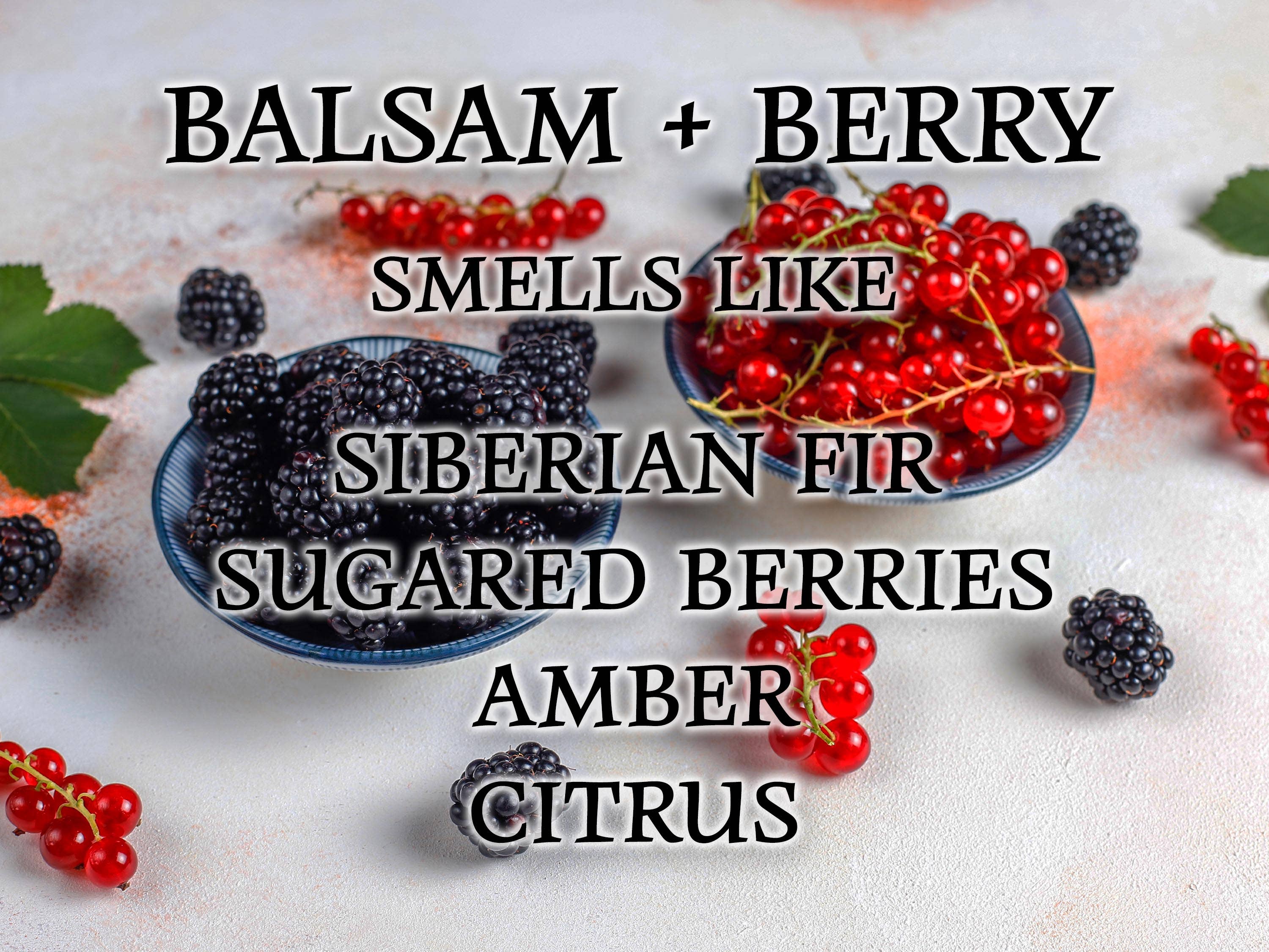 Silver Dollar Candle Co. – Großhandel Kerze im Glas / gefüllte Kerze – Weihnachtskerze Balsam & Berry — 9 Unzen Pure Soy Candle1