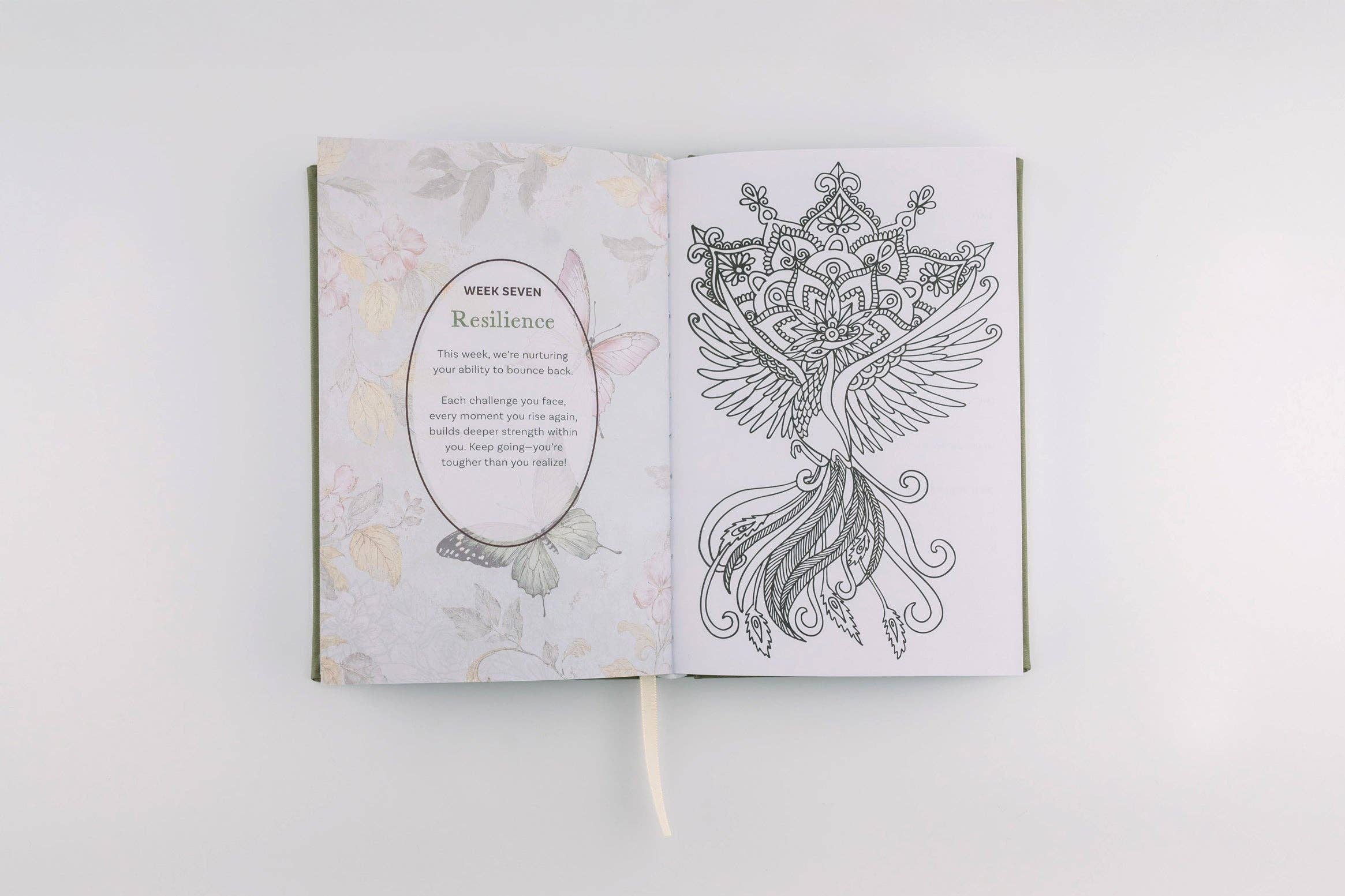 Innerlight Compass – wholesale Journal och dagbok – Daglig guidad dagbok med målarbilder10