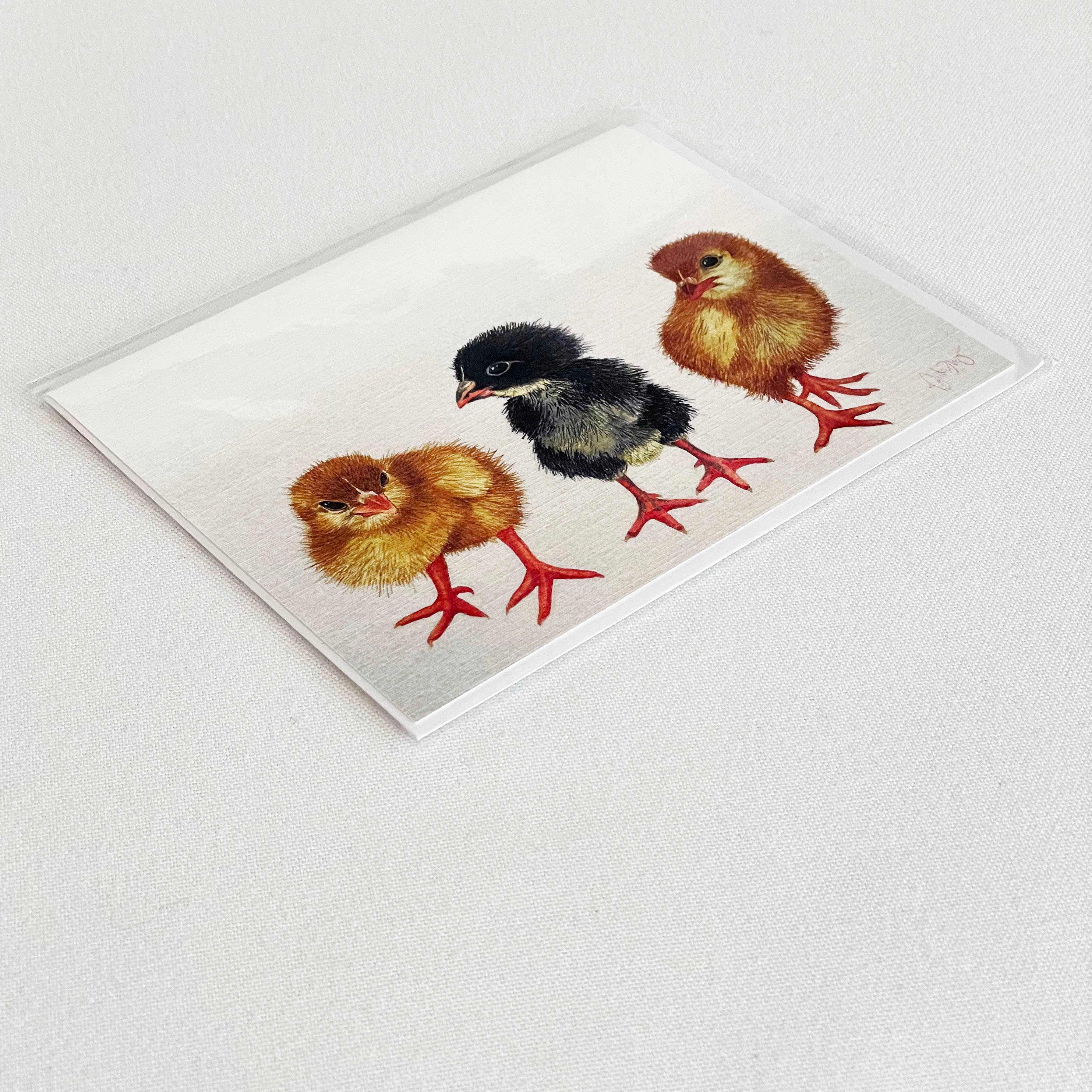 Broad Bloom – Engroshandel Brevpapir/sæt med noteskort – Chick Notecard1