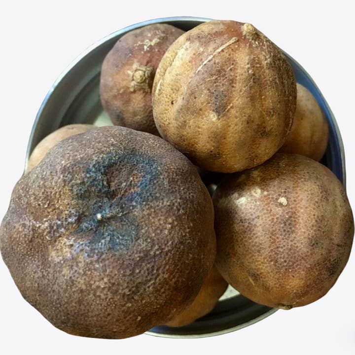 L' Arbre Persan - Vente Fruits secs/déshydratés - Limoo ou Citron séché d'Iran1