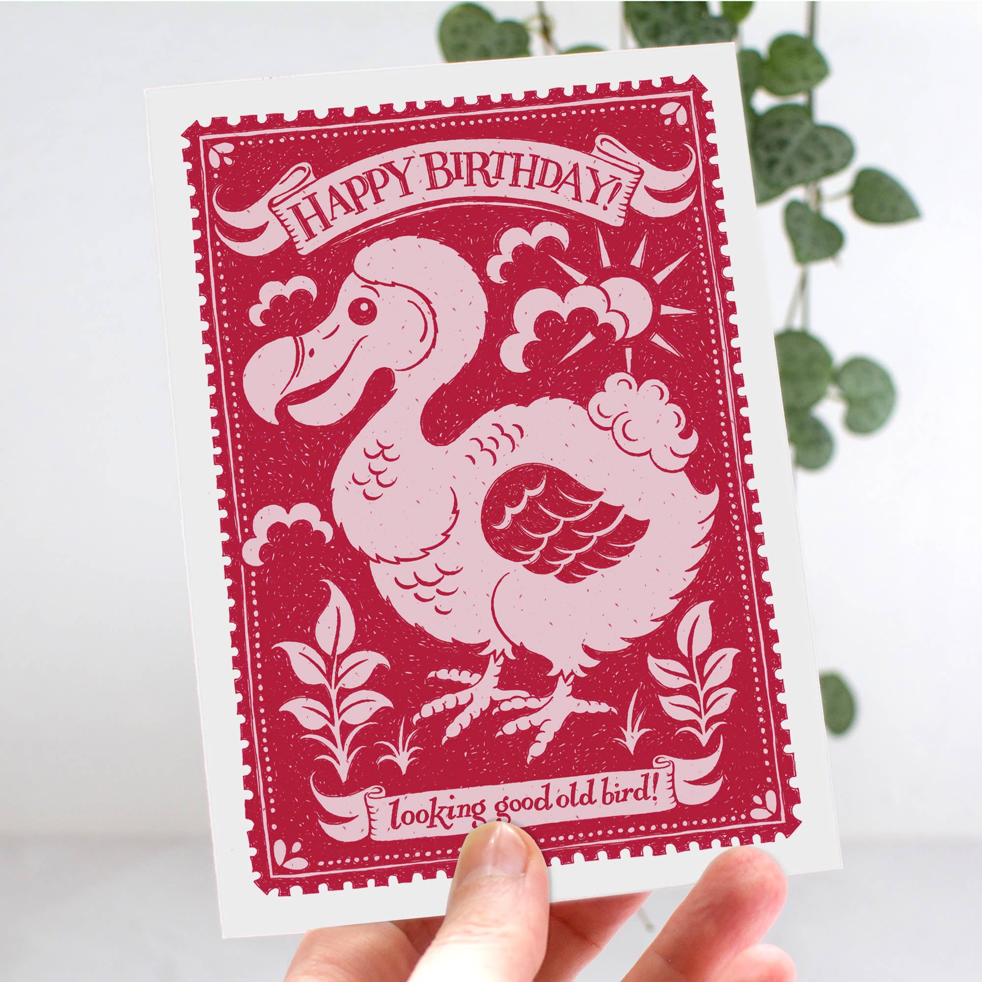 Alexandra Snowdon – wholesale Birthday card – Old Bird Birthday Card2