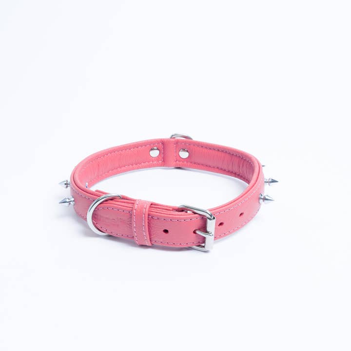 Angel Pet Supplies Inc. - Wholesale Pet Collar - Dog - Rotterdam Spiked Dog Collar by ANGEL™4