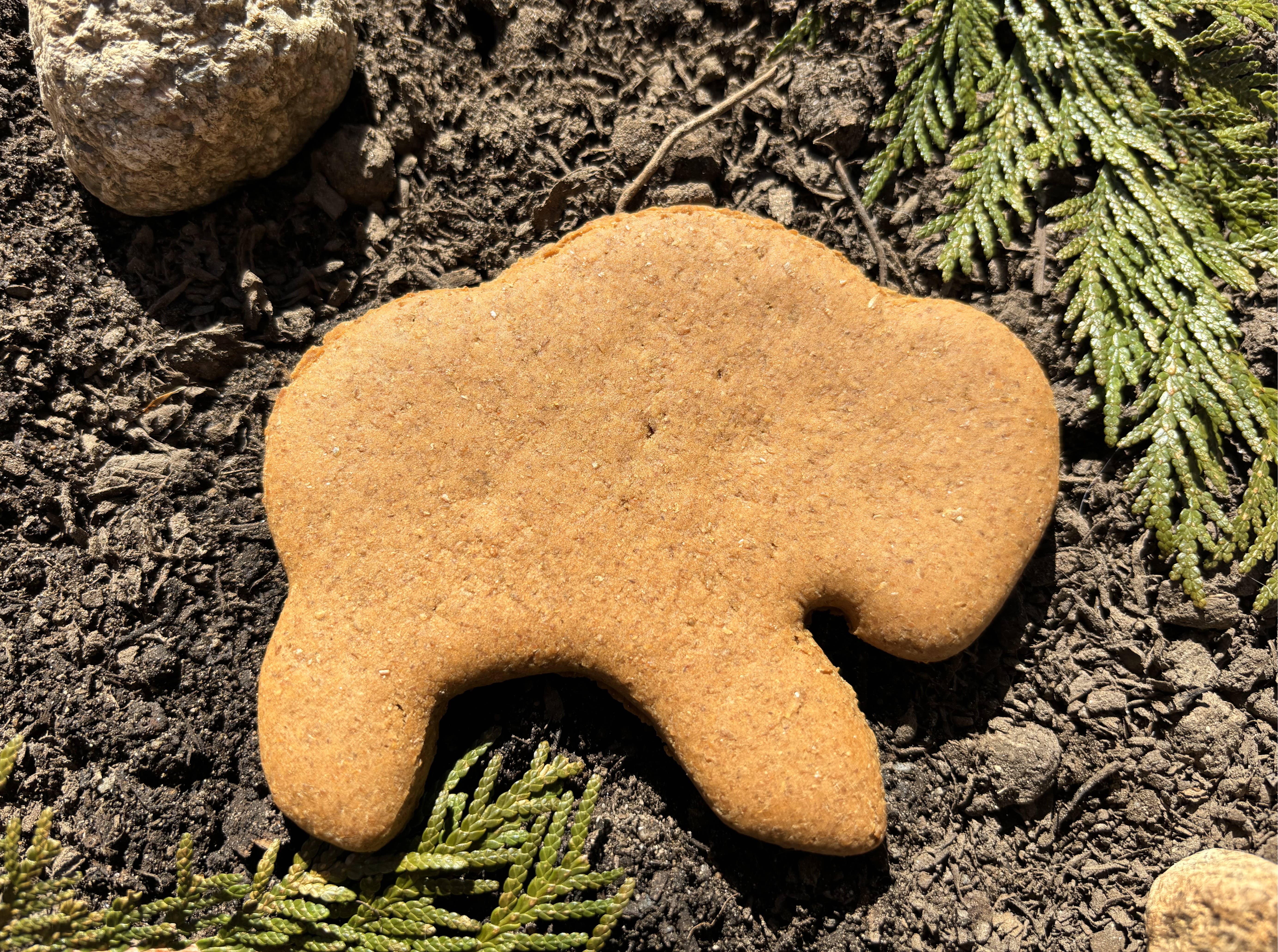 North Woods Animal Treats and Gifts - Wholesale Pet Treats - Dog - Display Crate REFILL (no crate), 36 cookies, Bacon Buffalo4