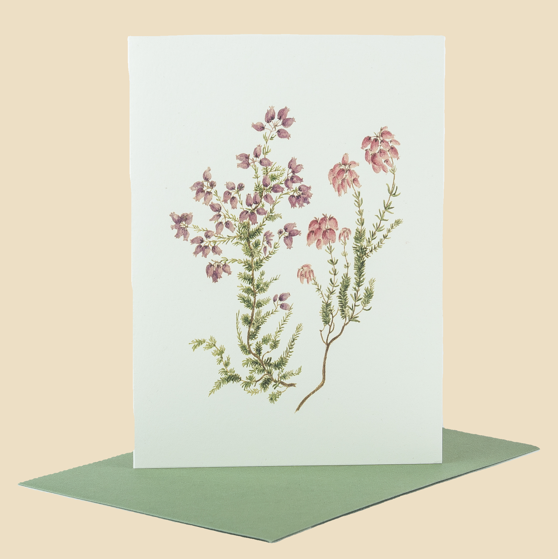 Sophia Davenport - Wholesale Everyday Greeting Card - Wildflower Greeting Cards and Notelets28
