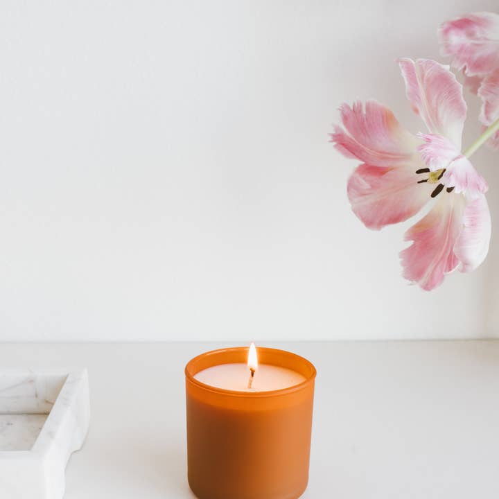 Calyan Wax Co. - Wholesale Jar/Filled Candle - Cedar + Tobacco - Dignity Series Soy Candle
