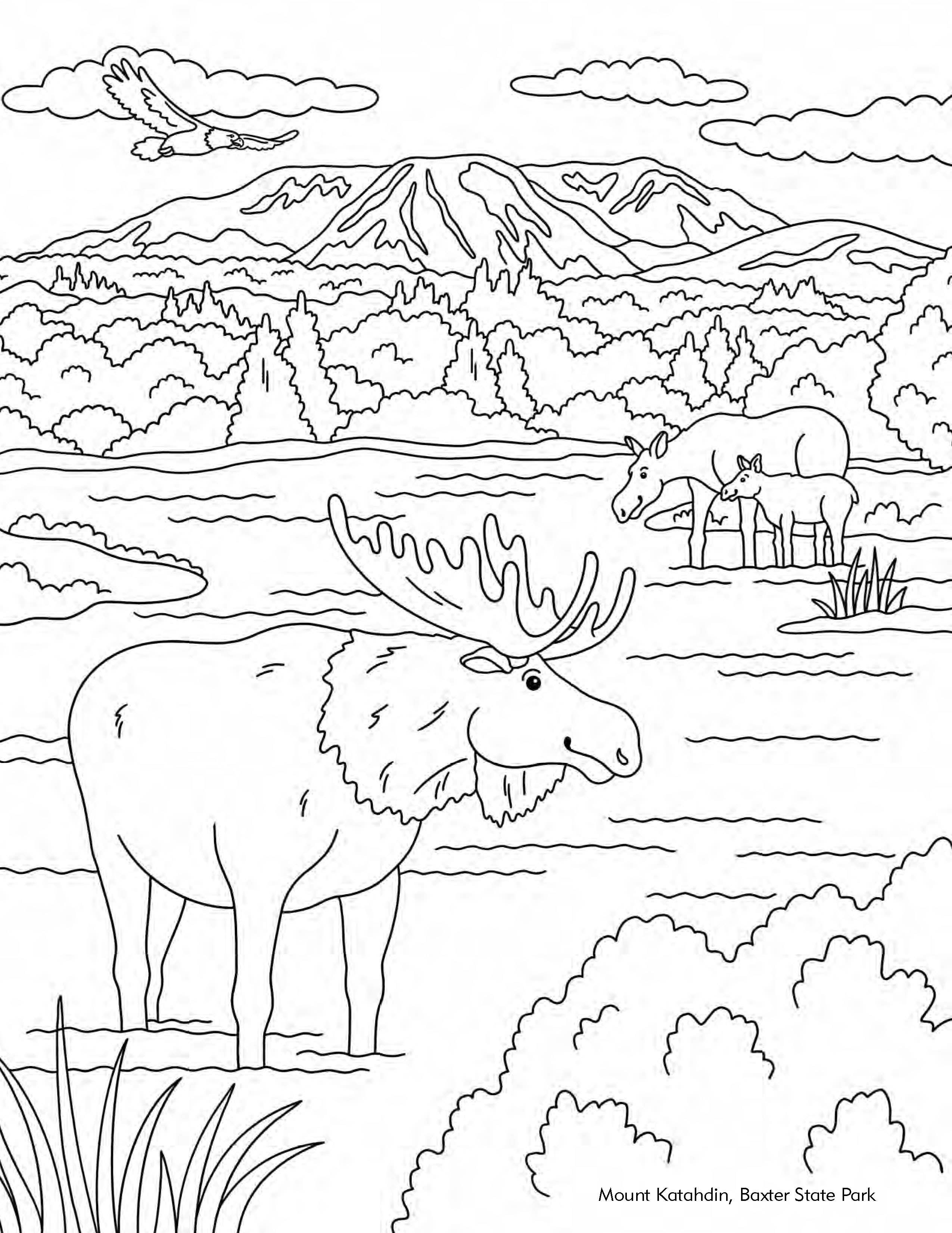 Arcadia Children's Books - Wholesale Coloring & Activity Book - Kids & Baby - Color Me in Maine: A Coloring Book for All Ages3