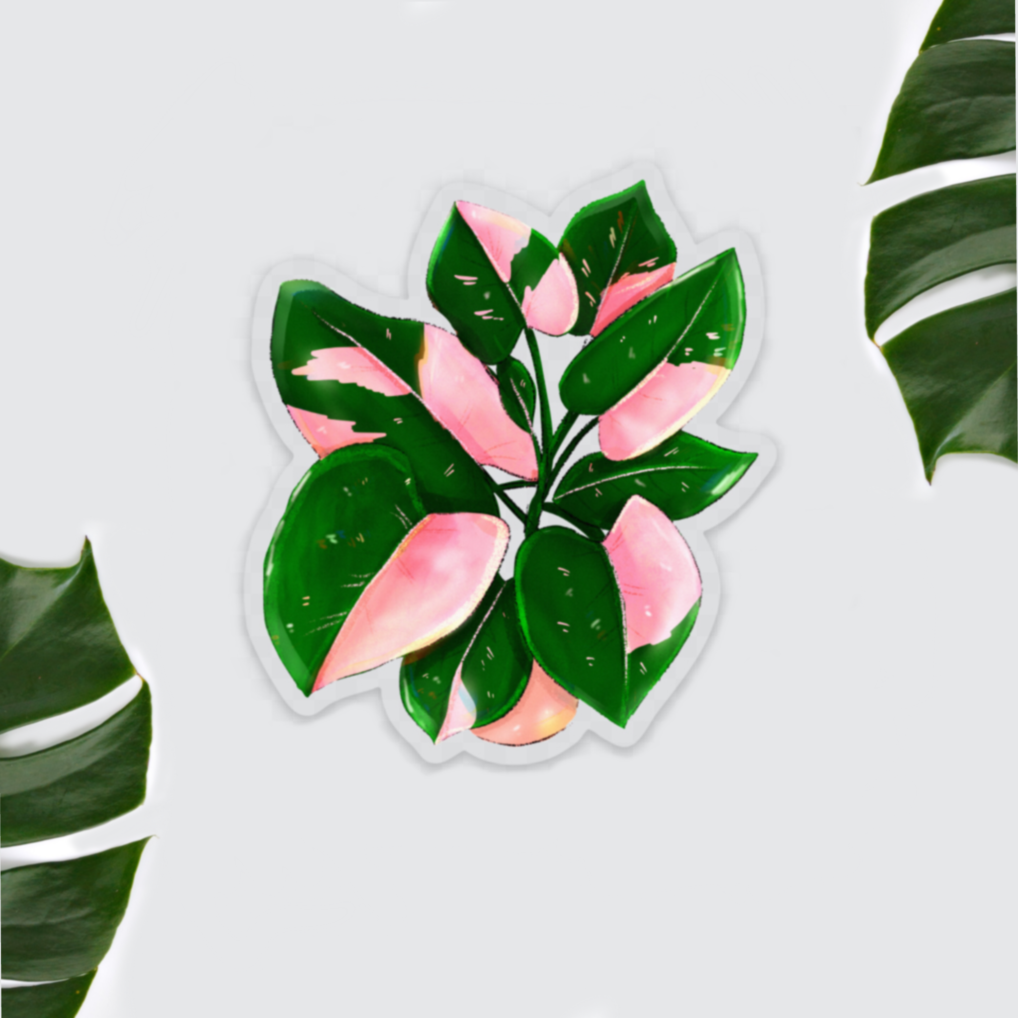plantyintroverts - Wholesale Magnet - Magnet - Philodendron Pink Princess pot0