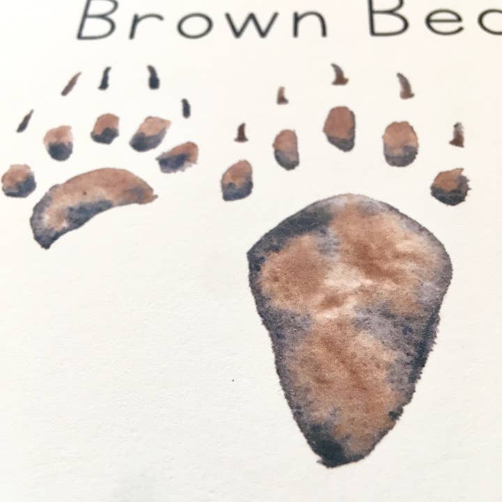 Tiny Nest Studio - Vendita all'ingrosso Carte didattiche - Bambini e neonati - Schede didattiche Alaska Animal Tracks8