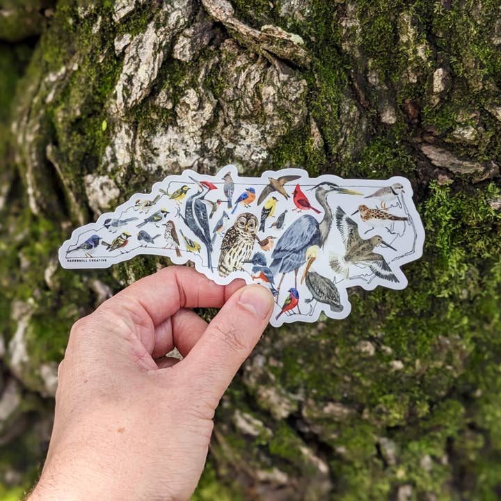 Papermill Creative - Wholesale Sticker - North Carolina Birds vinyl sticker