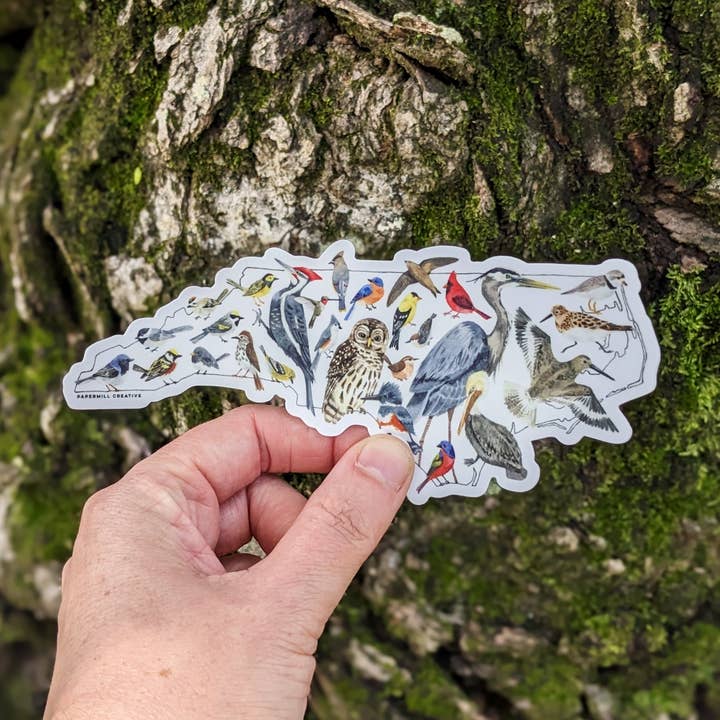 North Carolina Birds vinyl sticker for wholesale by Papermill Creative