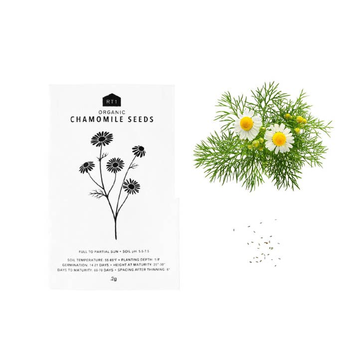 RT1home - Wholesale Plant Seeds - TEA HERB SEEDS - PACK OF 5