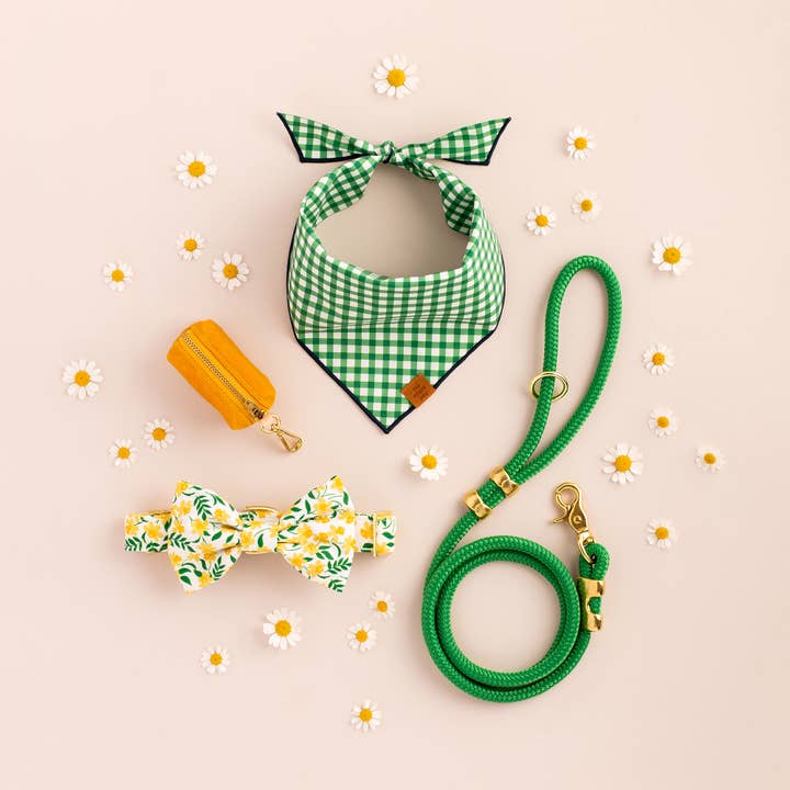 The Foggy Dog - Wholesale Pet Leash - Dog - Grass Green Marine Rope Dog Leash3