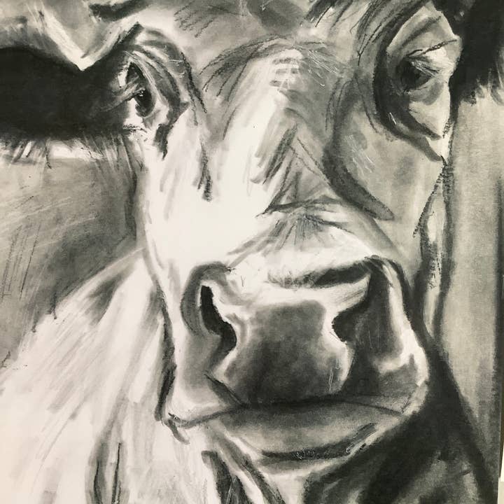 Wall Art Cow Print 1 for wholesale by Symphony Portrait, LLC