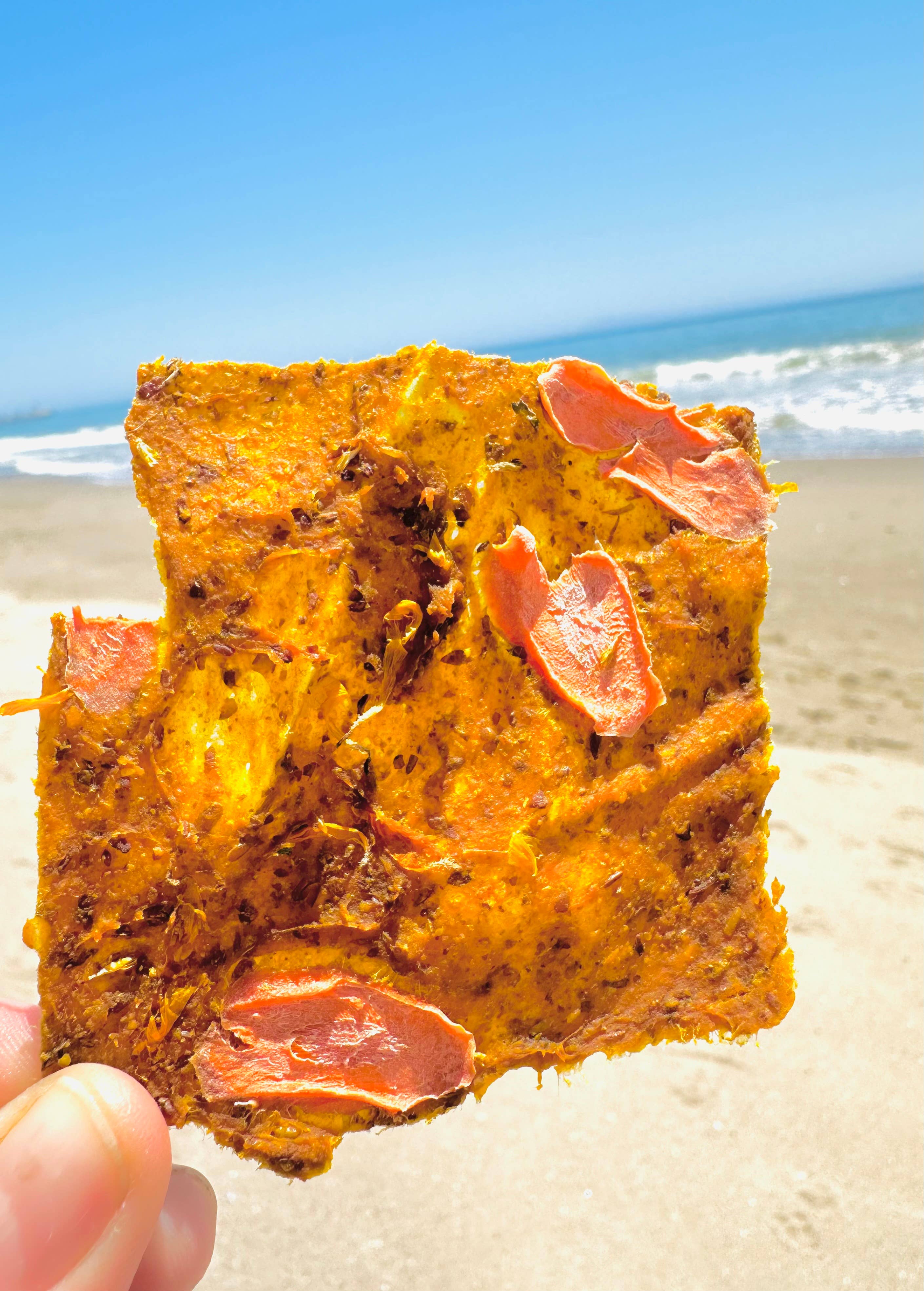 Fur Monster Goodies LLC - Wholesale Pet Treats - Dog - Bark: Organic Turkey: Air Dried Jerky Treat1