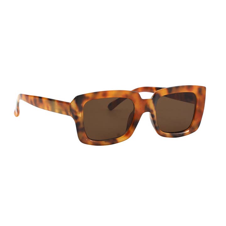 Ryan Simkhai Eyeshop – wholesale Sunglasses – Women's – CHASE | Light Tortoise | Tinted Readers3