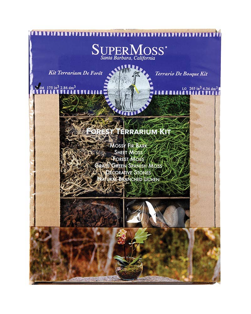 Forest Terrarium Kit for wholesale on Faire1