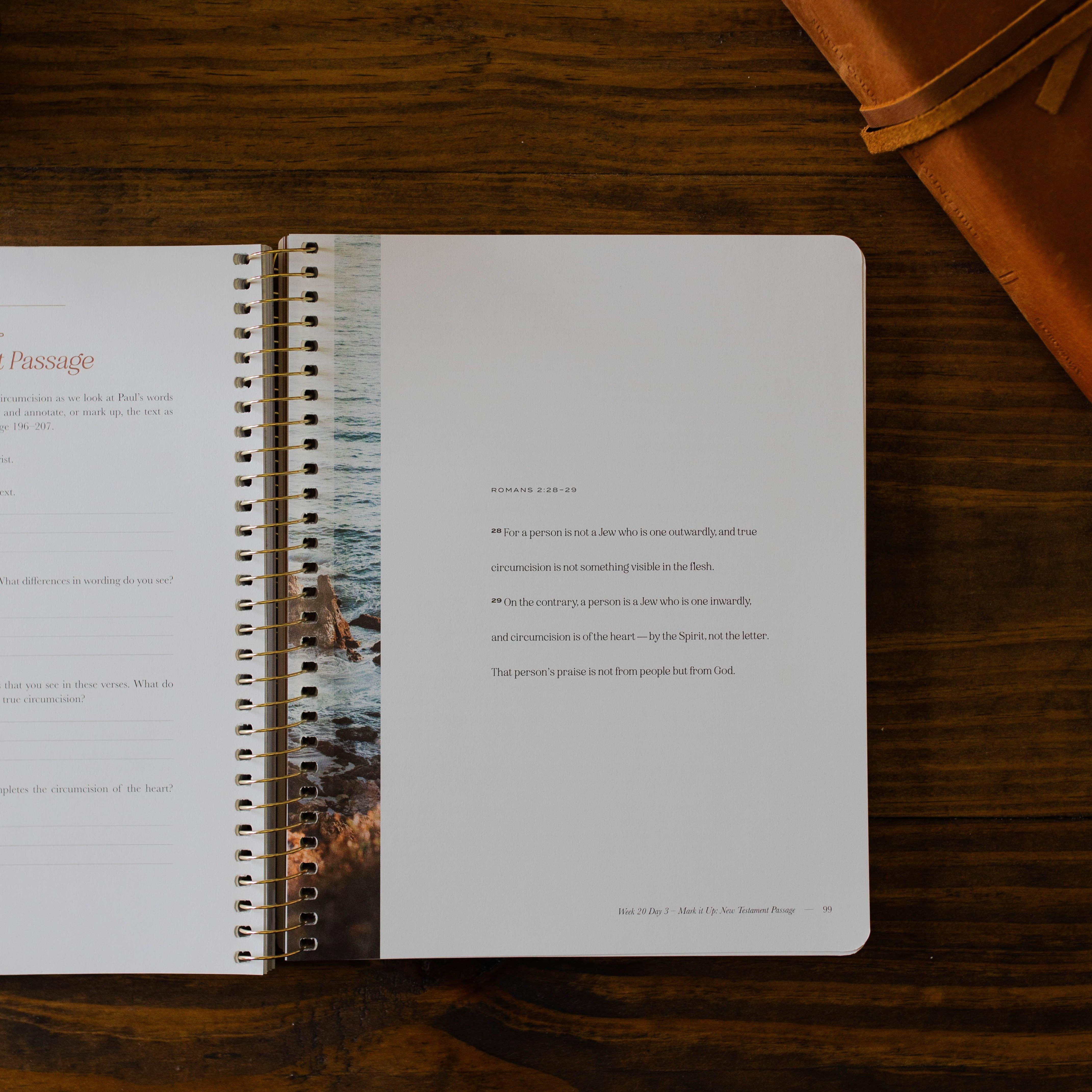 The Daily Grace Co - Vente Religion - Le Christ dans toutes les Écritures | Volume 2 | Hommes4