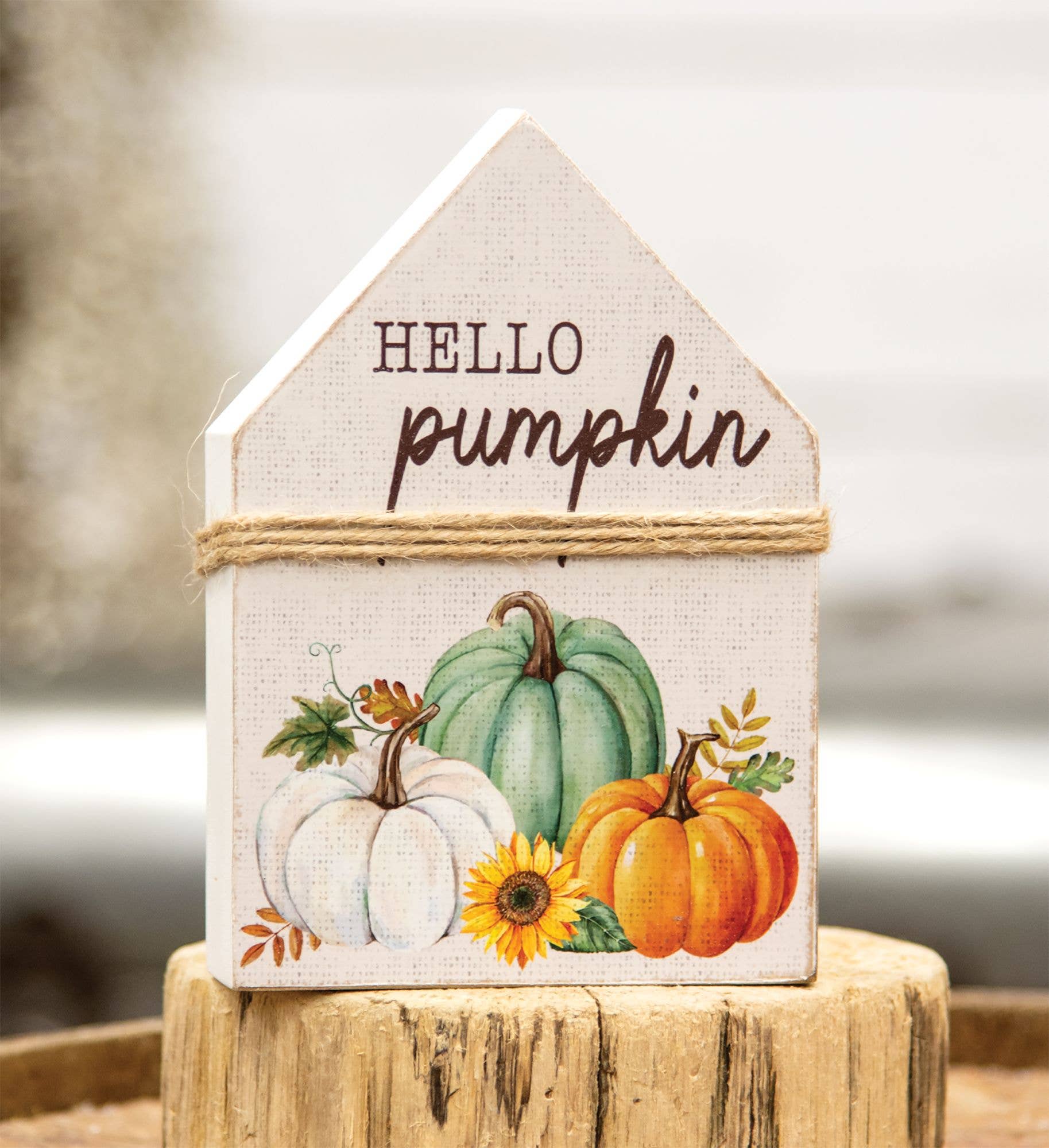 Col House Designs - Wholesale Decorative Tabletop Object - Hello Pumpkin Chunky House Sitter1