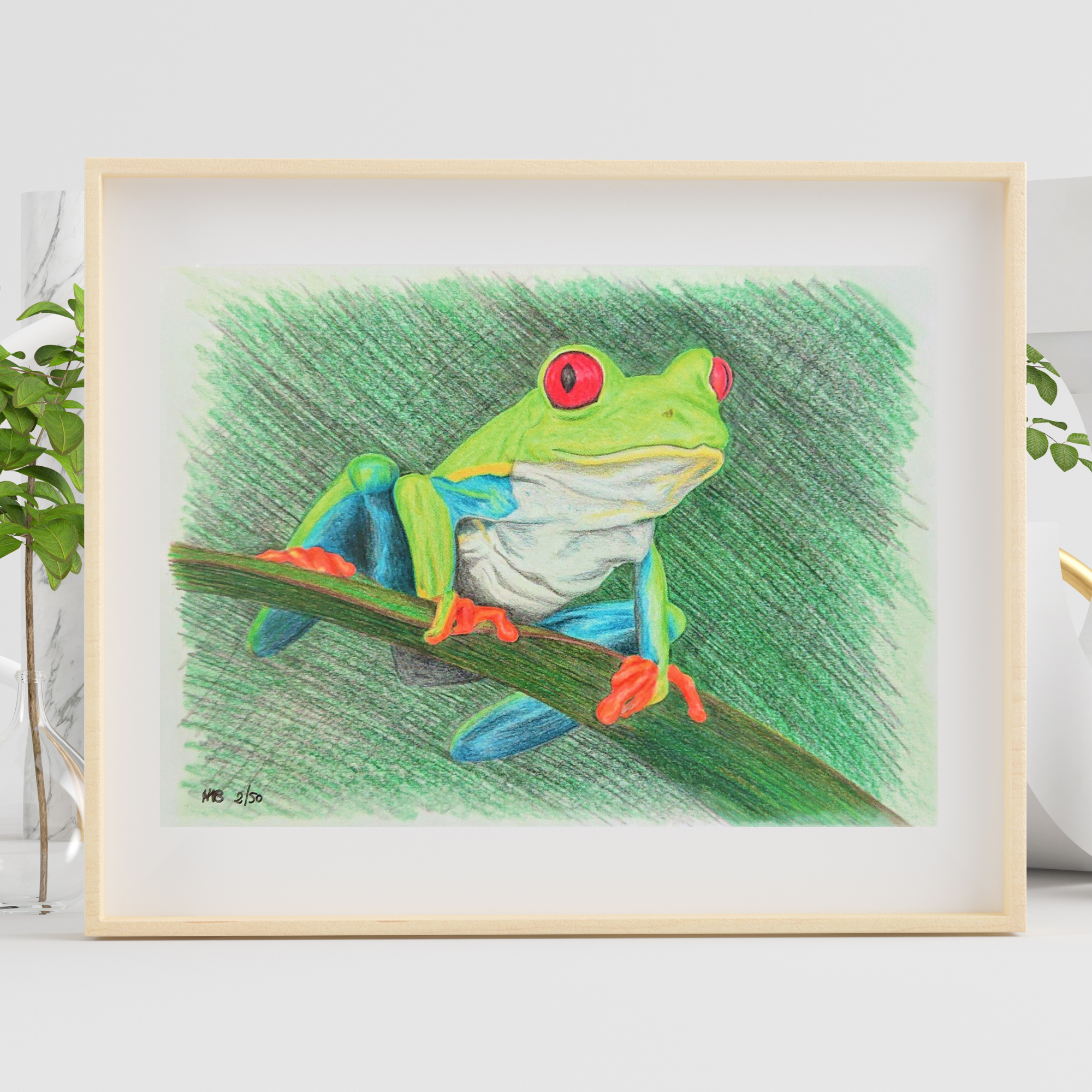 Hannah Kate Makes - Wholesale Art Print - Red Eyed Tree Frog Art Print - Cedric Sammakko - A53