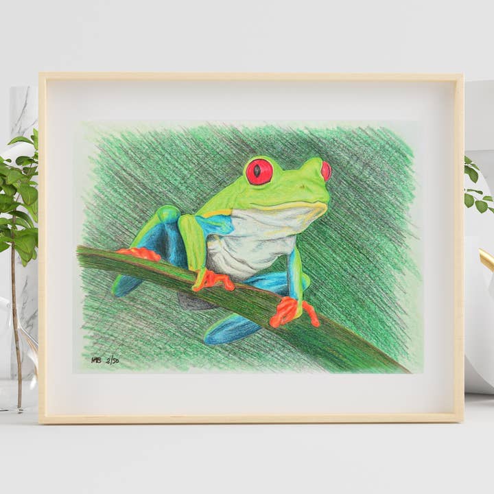 Hannah Kate Makes - Wholesale Art Print - Red Eyed Tree Frog Art Print - Cedric Sammakko - A53