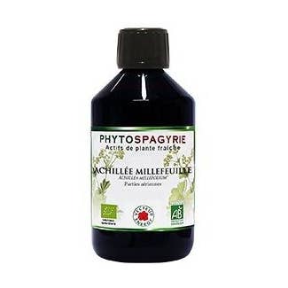 Phytospagyrie De Plante Achillee* 300ml pour la vente par Vecteur Energy