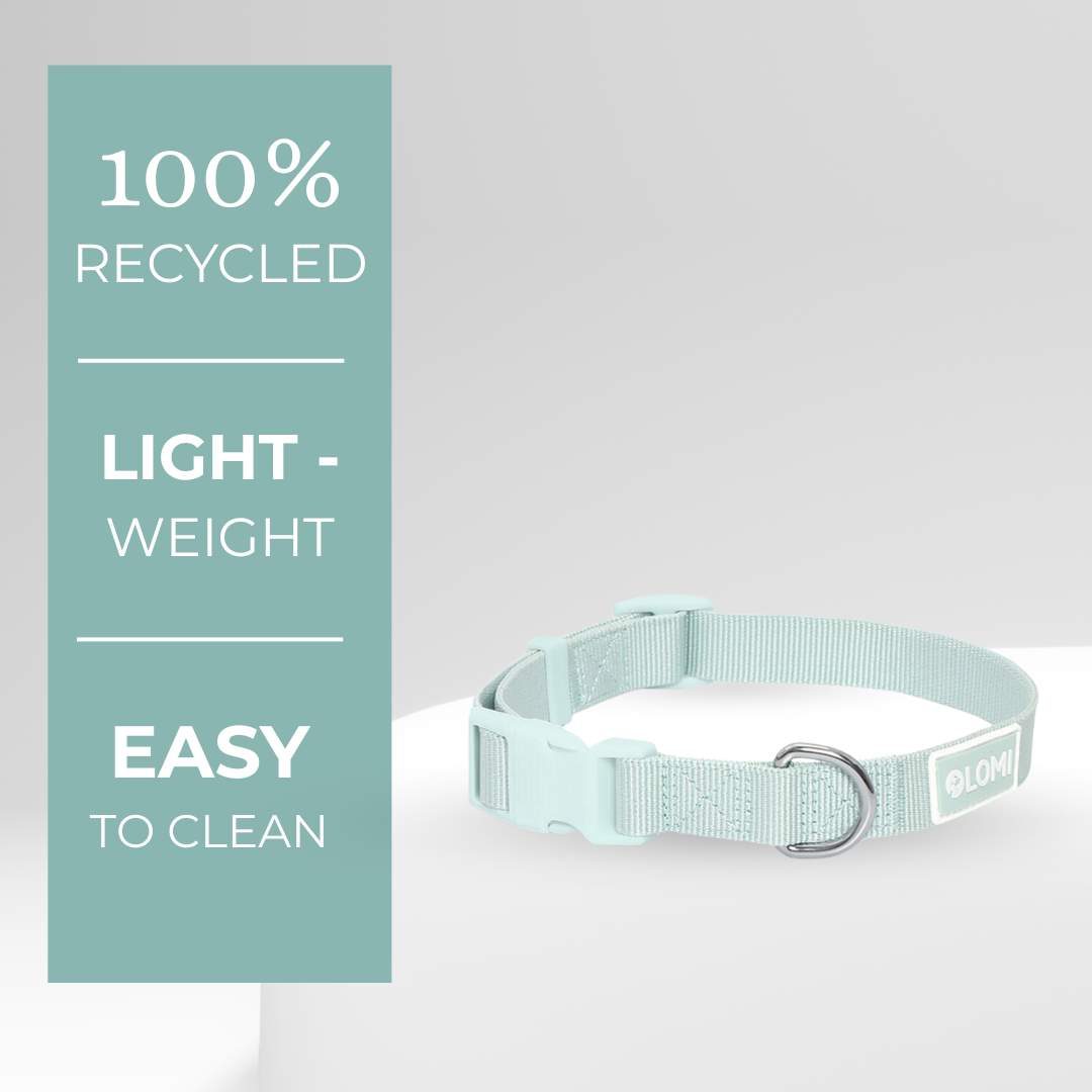 LOMI Pet Care - Wholesale Pet Collar - Dog - DOG COLLAR - ECO0