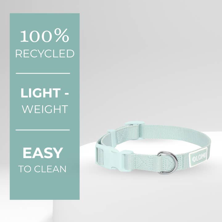 DOG COLLAR - ECO for wholesale by LOMI Pet Care