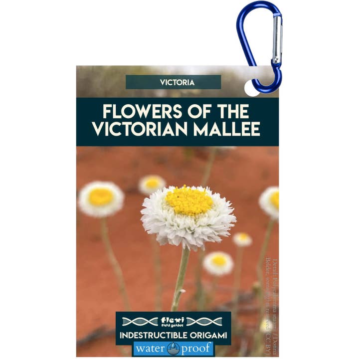 Fleurs du Mallee victorien - Origami indestructible pour la vente par Flexi Field Guides