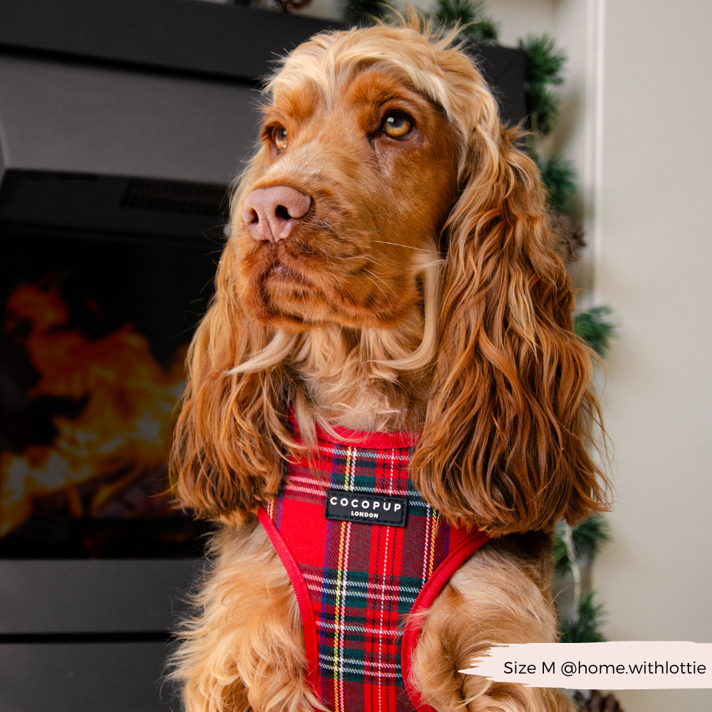 Cocopup London - Wholesale Tuig voor huisdieren - Hond - Tartan Verstelbaar NekHARNAS4
