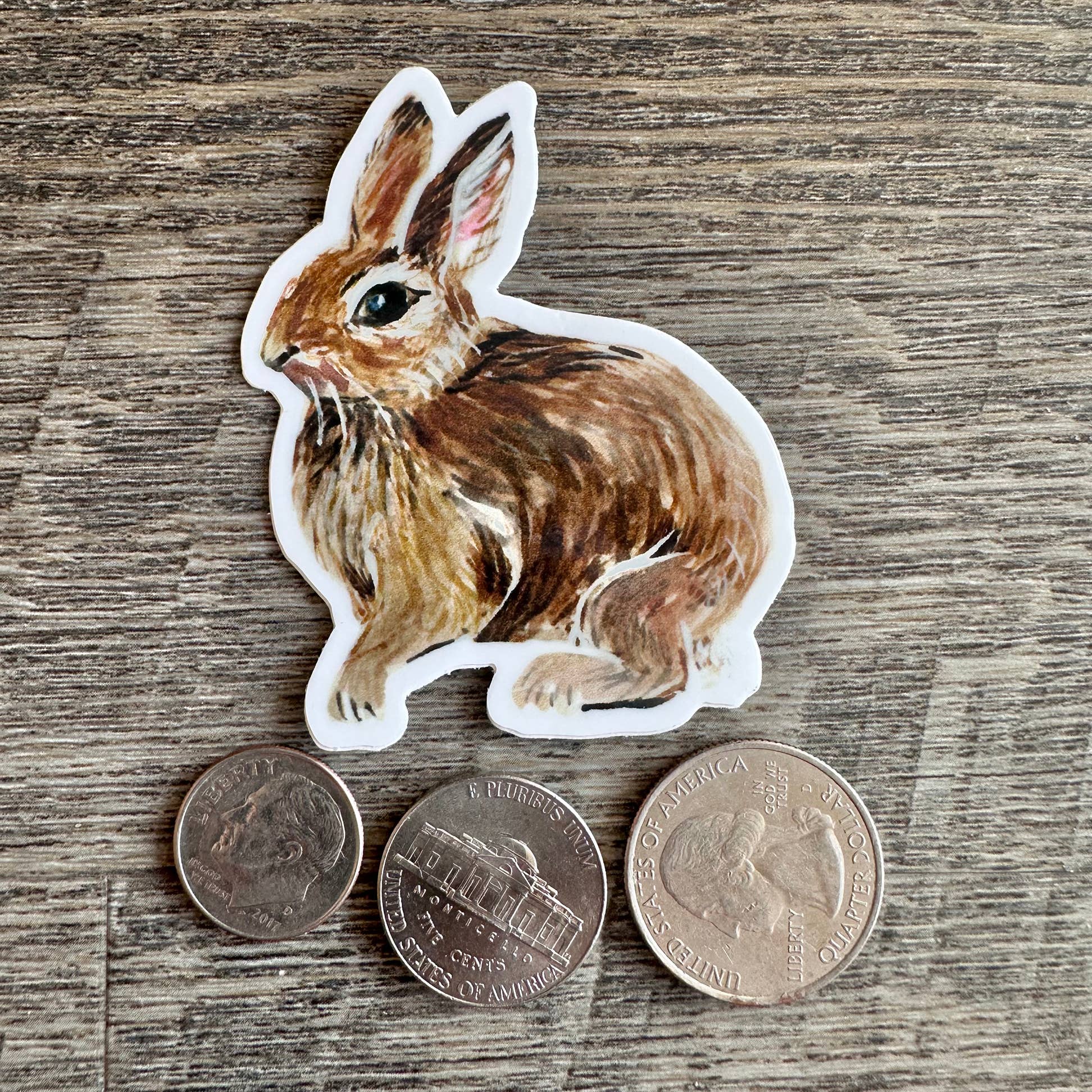 Mary M Spencer Design - Wholesale Sticker - Bunny Diecut Vinyl Sticker
1