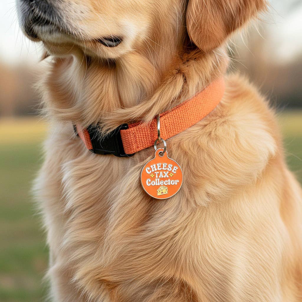 Bad Tags – Großhandel Haustiermarke – Hund – Emaille-Hundemarke mit scannbarer ID - Käse-Steuereintreiber2