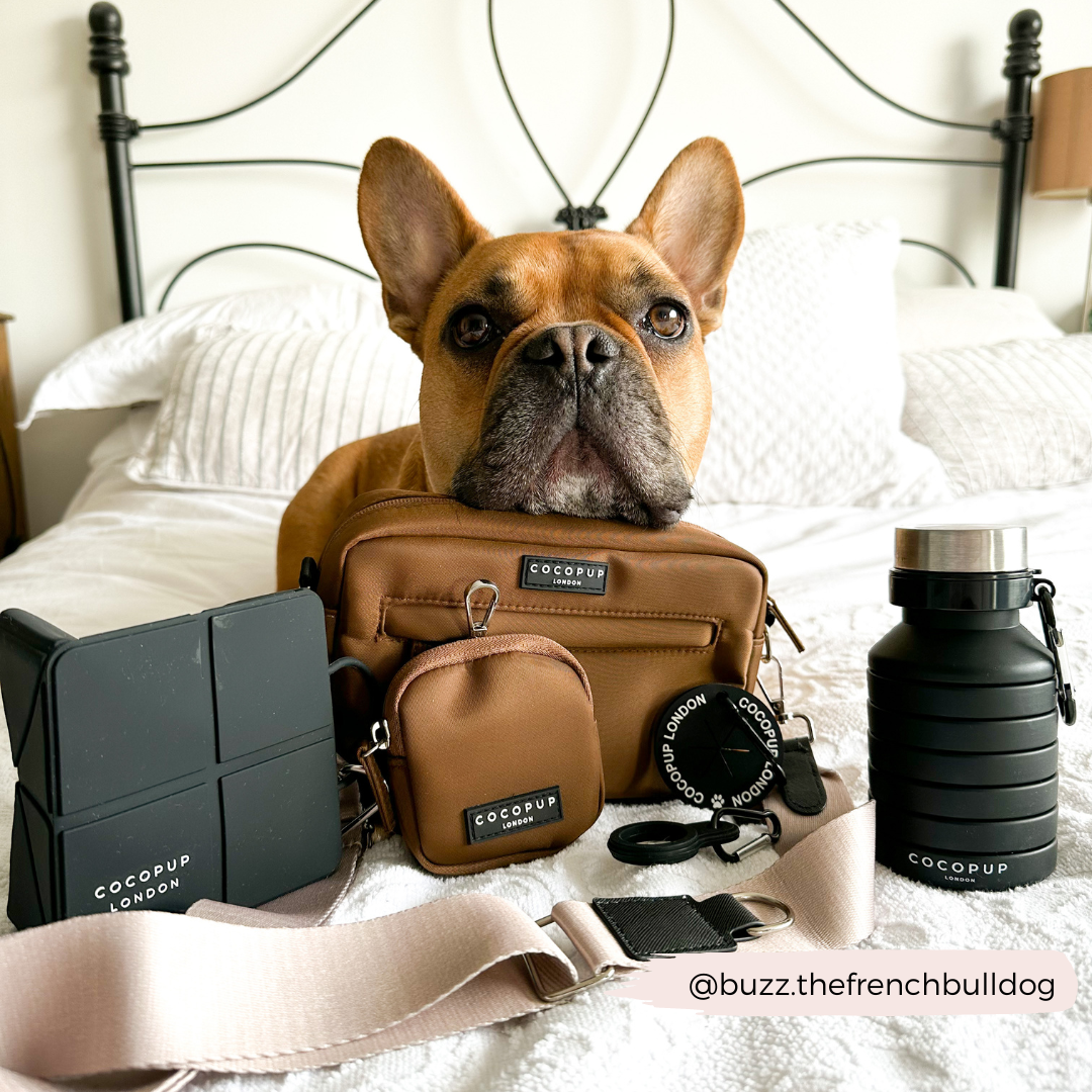 Cocopup London – wholesale Pet bowl – Cat/dog – Foldable Travel Bowl - Black6