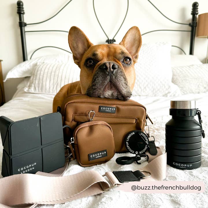 Cocopup London - Vendita all'ingrosso Ciotola - Cani e gatti - Ciotola da viaggio pieghevole - Nera6