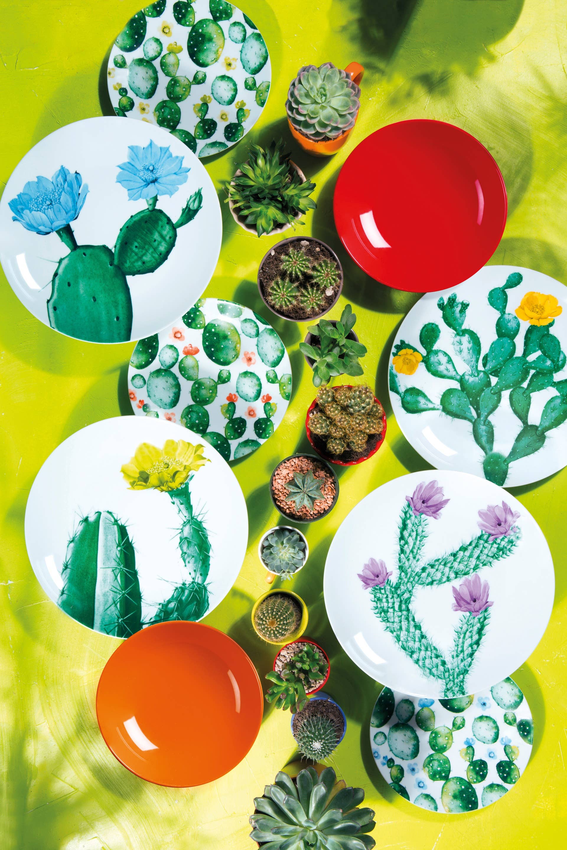 multicolour 18-Piece Dinnerware Set Color Cactus for wholesale on Faire8