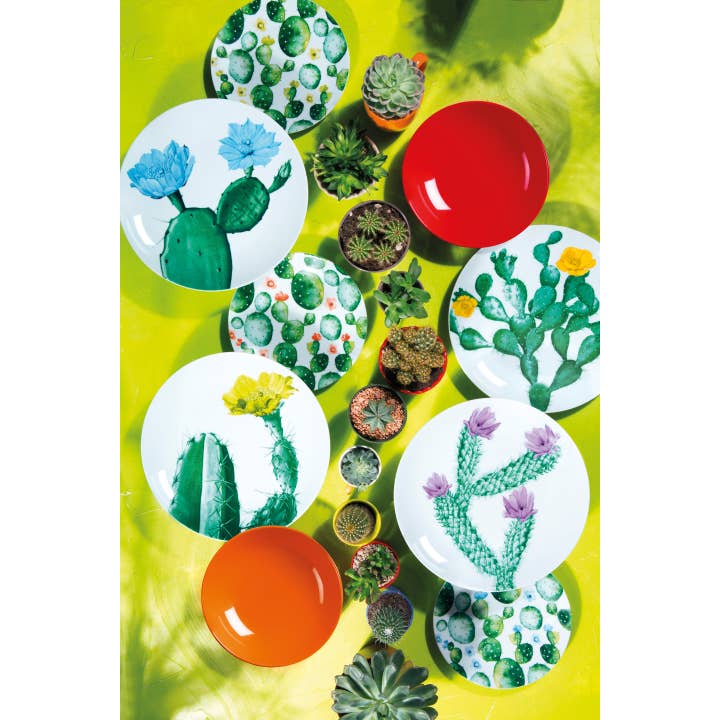 multicolour 18-Piece Dinnerware Set Color Cactus for wholesale on Faire8