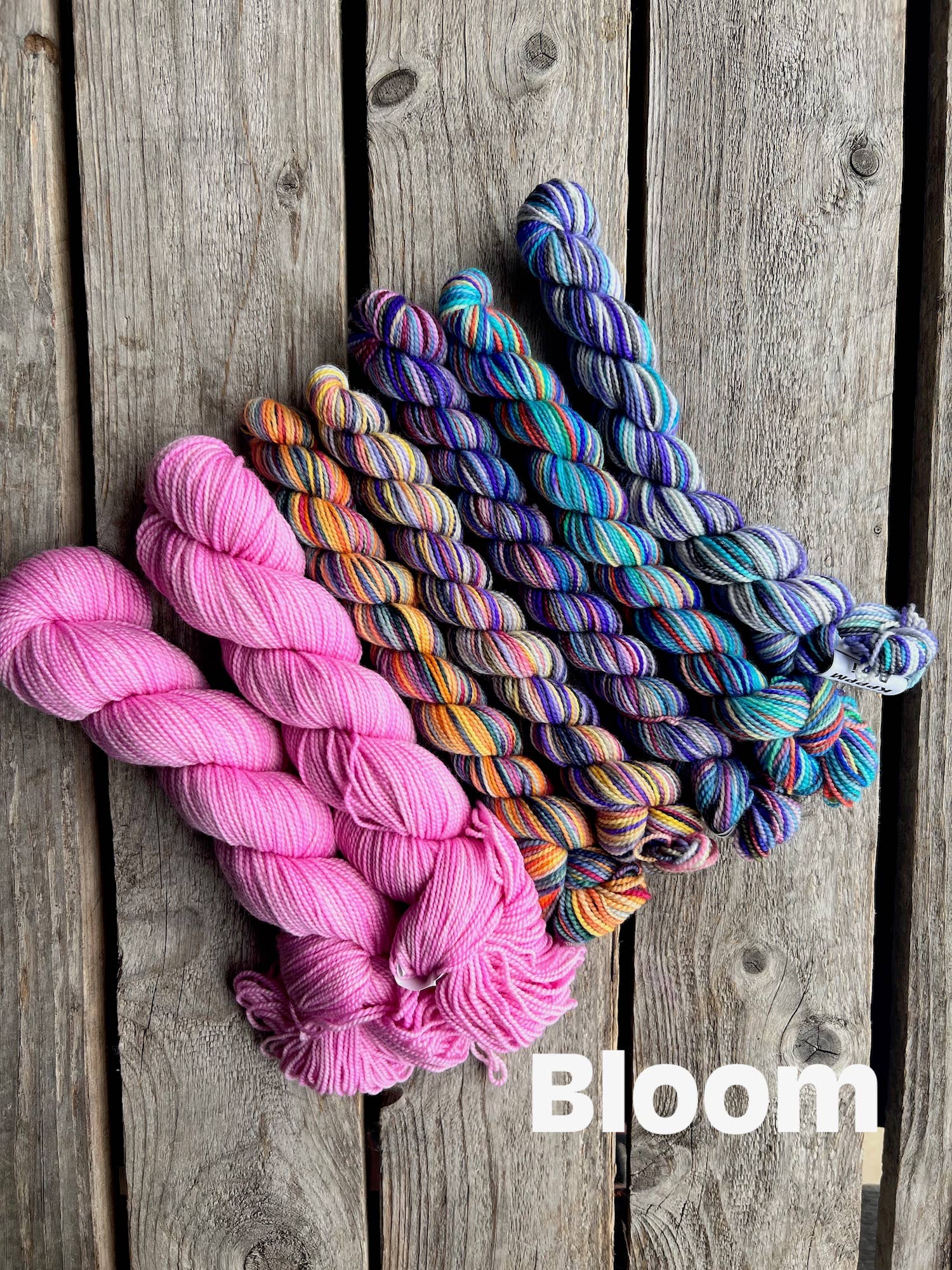 Koigu Wool Designs - Wholesale Knitting/Crochet Supplies - Vestiges Shawl Yarn Packs2