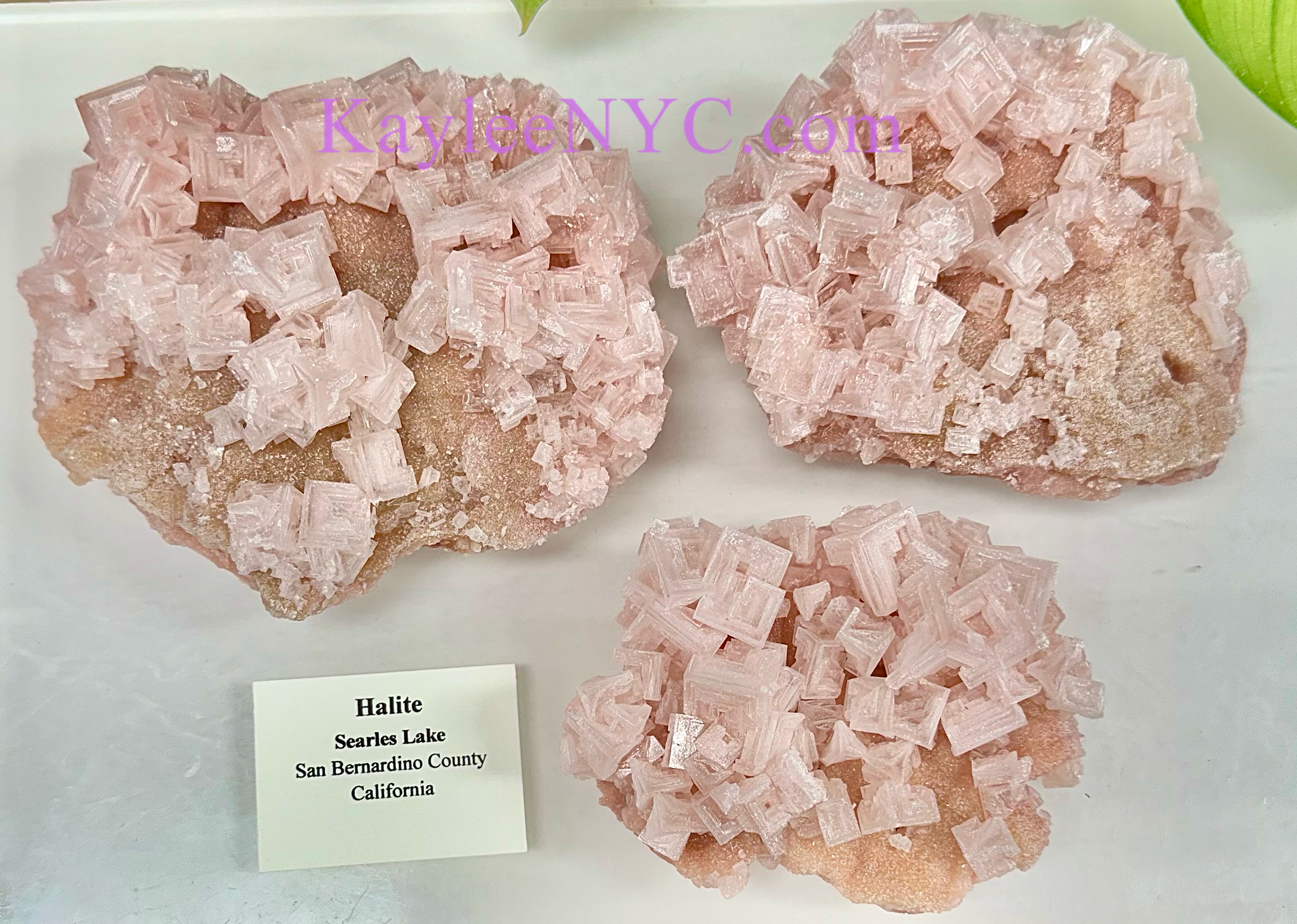KayleeNYC - Wholesale Spiritual Stone/Crystal - Natural Pink Halite Specimen Raw Crystal2