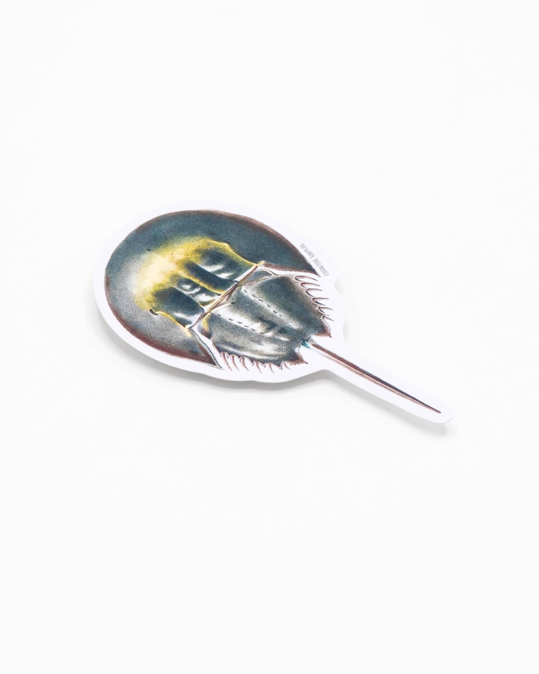 Cognitive Surplus - Wholesale Sticker - Horseshoe Crab (Case of 15)