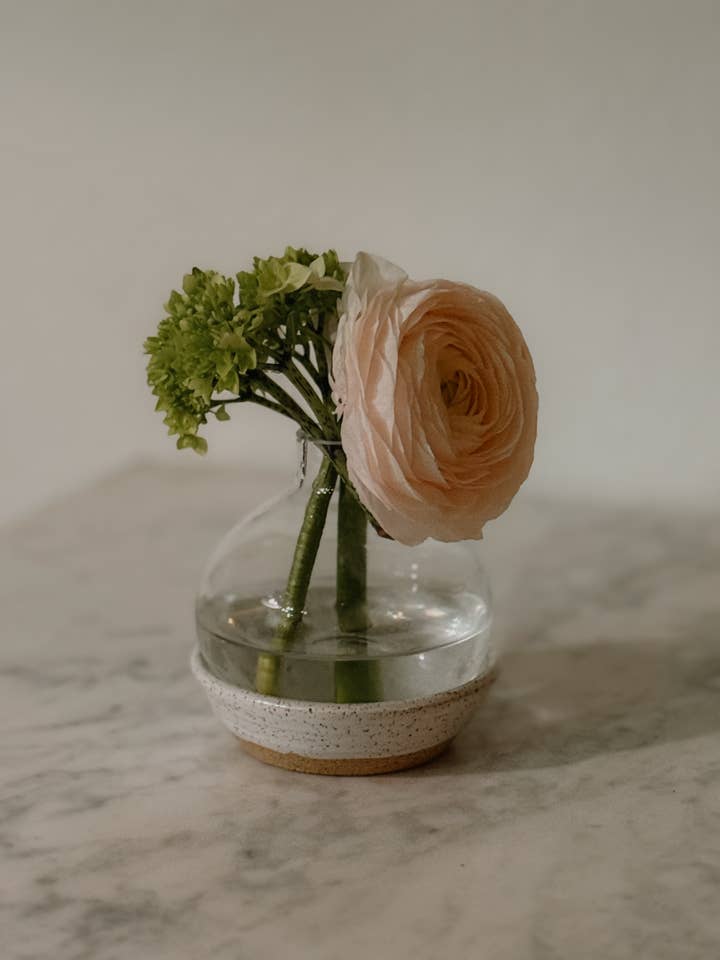 Estación de propagación de plantas cerámicas para venta al por mayor de JordanBCeramics