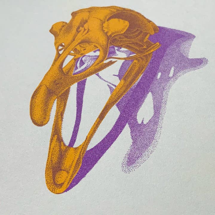 Psychedelic Lens - Wholesale Art Print - Bird Skull Riso Print