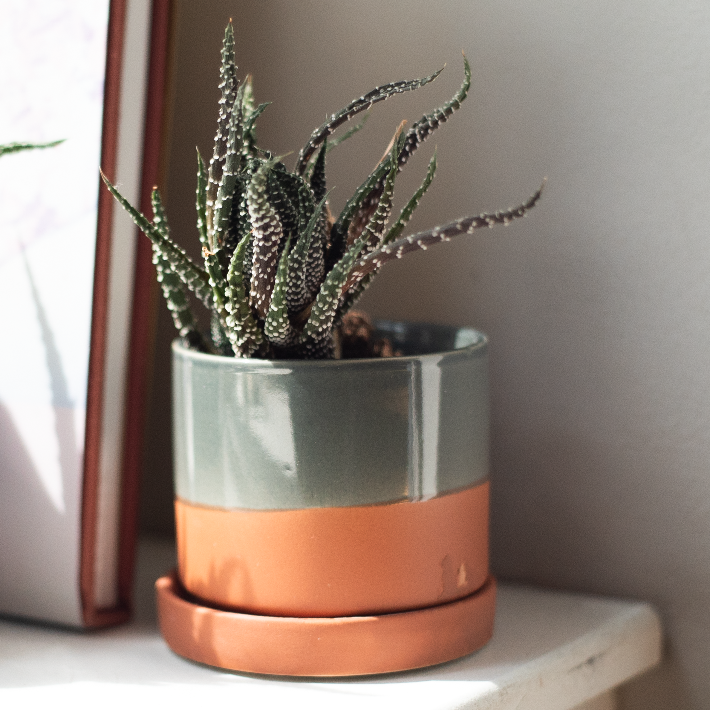 Minute Ceramic Planter Indoors  5 Inch Clay Terracotta Pot for wholesale on Faire4