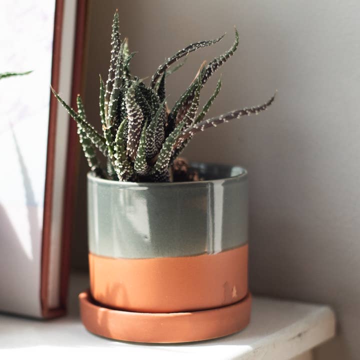 Terre cuite Pot de fleurs en céramique minute pour intérieur pot en terre cuite de 5 pouces en vente sur Faire3