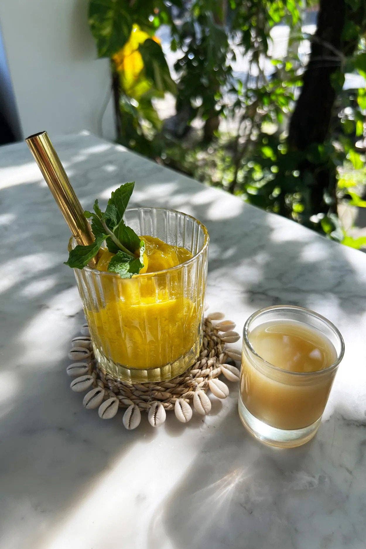 Bazar Bizar Living - Venta al por mayor Posavasos - Posavasos natural de hierba marina con conchas1