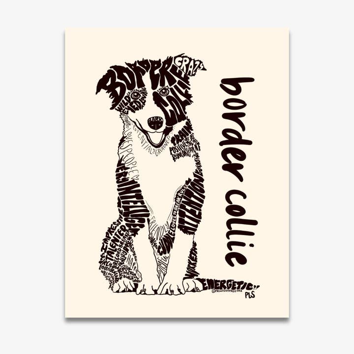 Border Collie Dog Print, Dog Lover Gift for Pet Stores for wholesale by Prints By Preetha