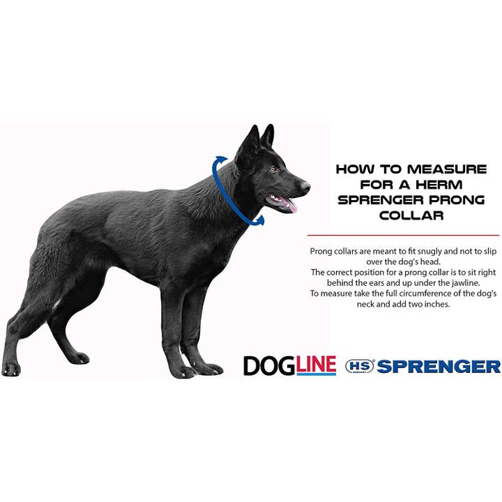 Dogline – wholesale Halsband - Hund – Herm Sprenger svart rostfritt stål Prong DogTraining Vridbar