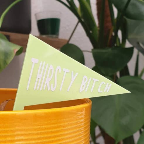 Plant Stake - Thirsty Bitch for wholesale by Livvy Rose Studio